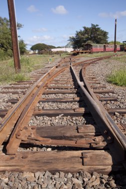 eski paslı tropikal tren yolu