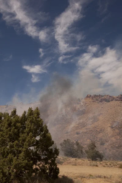 Smoking desert hillside from a fire — Stock Photo, Image