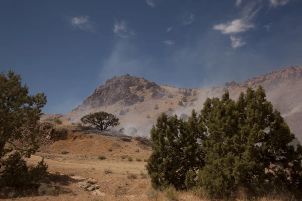 Rauchender Wüstenhang aus einem Feuer Stockfoto