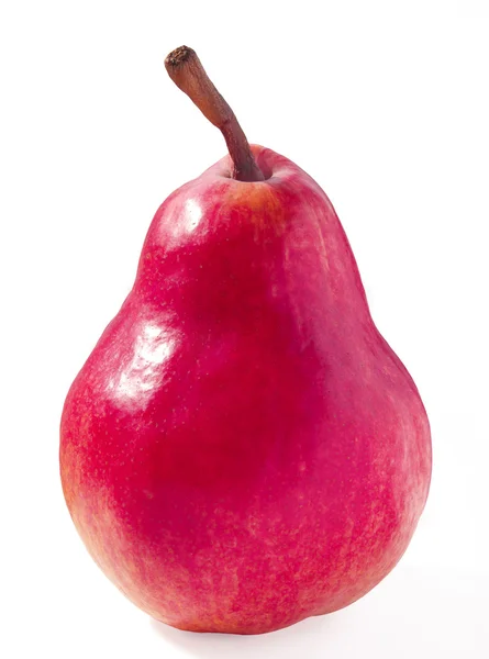 Pera rossa su sfondo bianco — Foto Stock