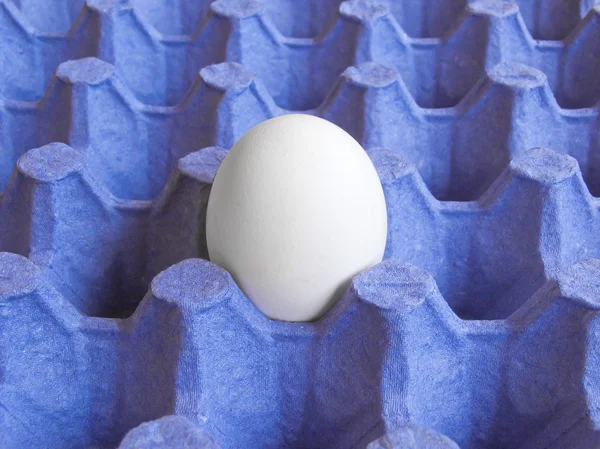 Embalaje de huevo —  Fotos de Stock
