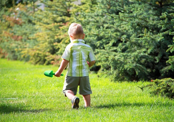 Маленький мальчик гуляет по парку — стоковое фото