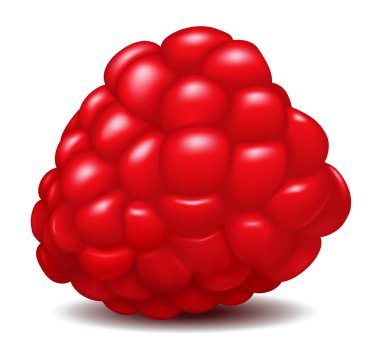 Raspberry isolated over white background clipart