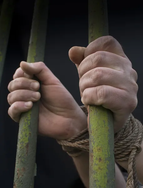 stock image Hands behind the bars tied with rope