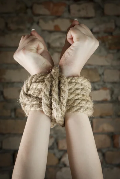 stock image Hands tied up with rope
