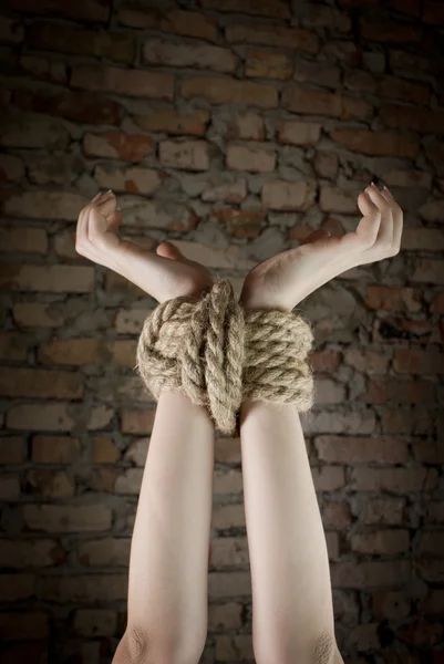 Mãos atadas com corda — Fotografia de Stock