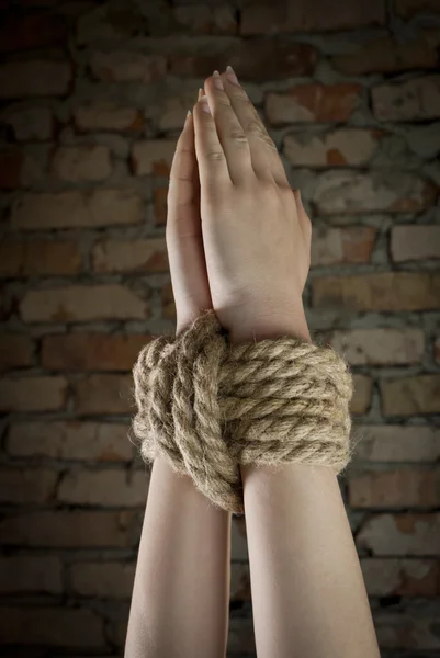 Mãos atadas com corda — Fotografia de Stock