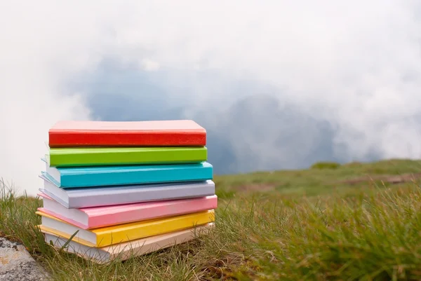 Stoh knih, kterým se v trávě — Stock fotografie