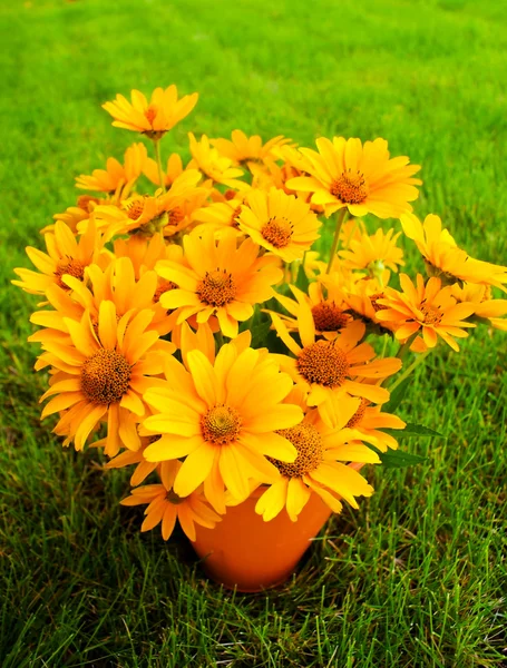 Bouquet di fiori gialli Susan dagli occhi neri sull'erba — Foto Stock
