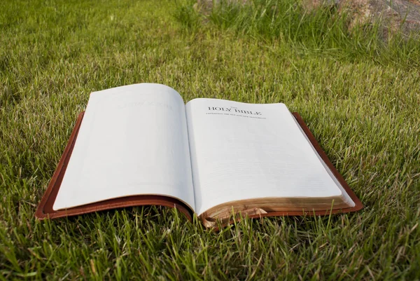 Открытая Библия, лежащая на зеленой траве — стоковое фото