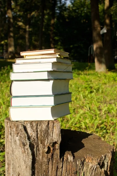 Stack di libri posa all'aperto sul ceppo — Foto Stock