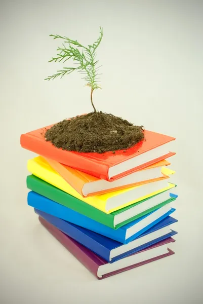 Plántulas de árboles en la pila de libros coloridos —  Fotos de Stock