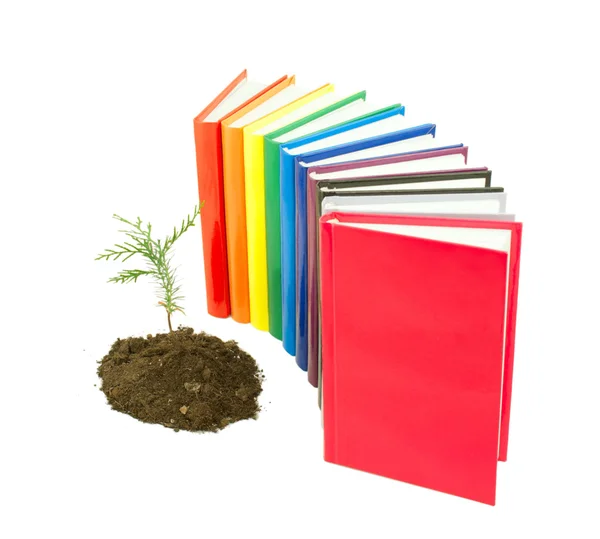Seedling grown from the soil with row of books isolated on white — Stock Photo, Image