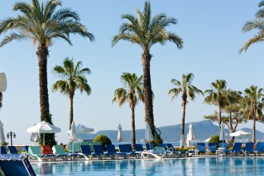 Beautiful view of the swimming pool near the hotel clipart