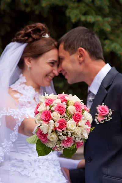 Happy groom and bride holding wedding pigeons — Stock Photo, Image