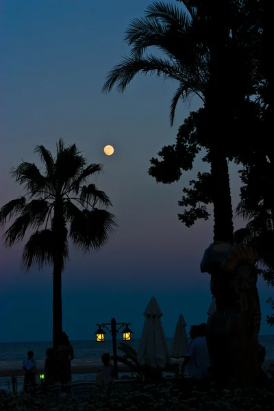 stock image Beautiful view of Full moon in twighlight