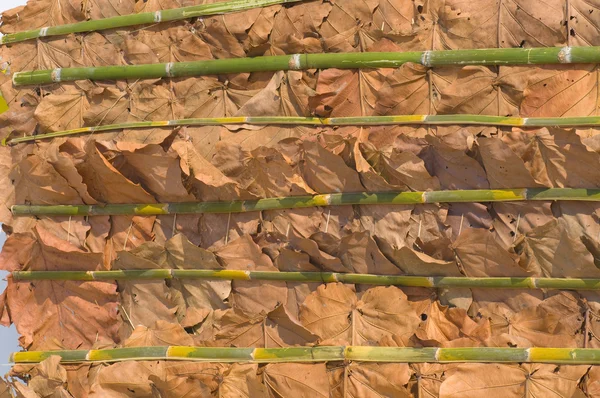 Dry leaves background — Stock Photo, Image