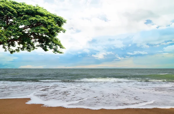 Costa do oceano — Fotografia de Stock