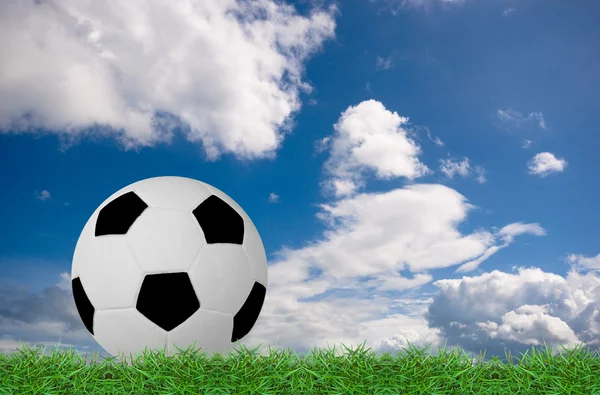 Футбол на зеленій траві — стокове фото