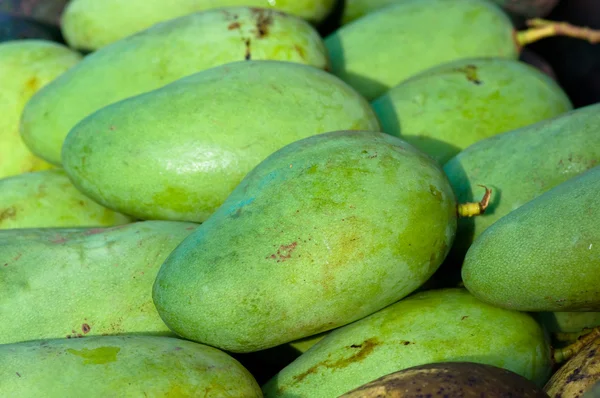Зеленые манго — стоковое фото