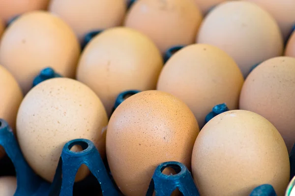 Filas de huevo —  Fotos de Stock
