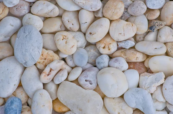 stock image Pebble or river stone