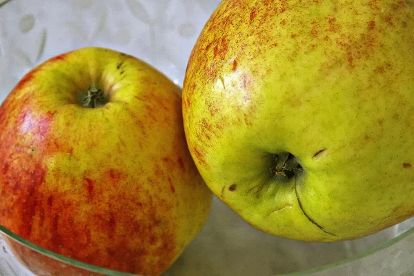 stock image Two apple