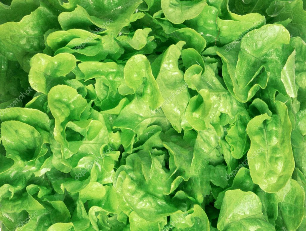 Fresh green salad macro — Stock Photo © shutswis 5873266
