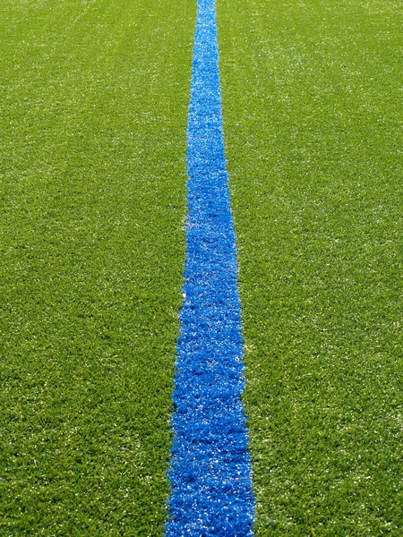 Blauwe lijn op het gras van het voetbalveld — Stockfoto