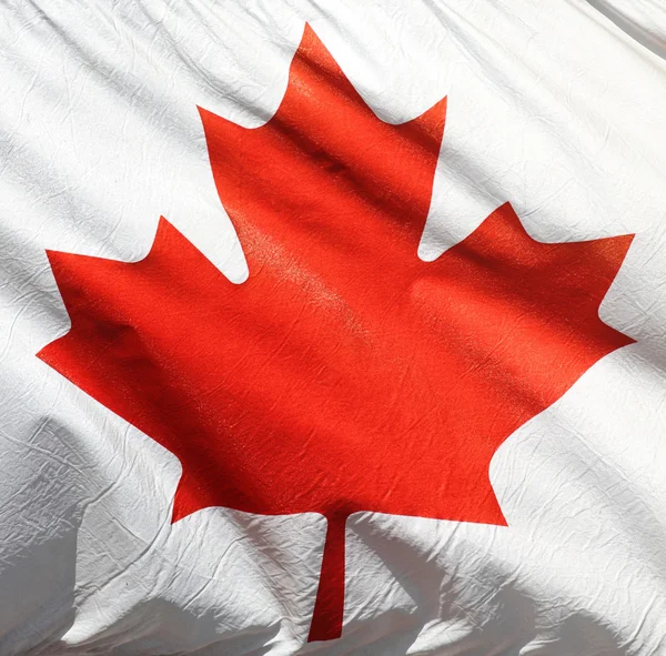 Bandera de Canada — Foto de Stock