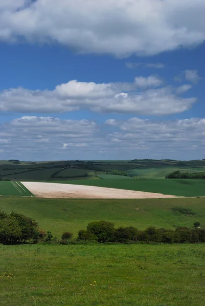 stock image Sussex Downs