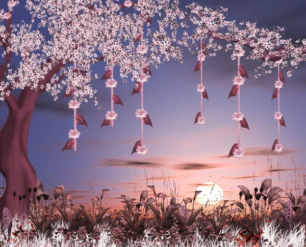 Série nature enchantée - jardin de fleurs de cerisier — Photo