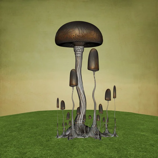 蘑菇 — 图库照片