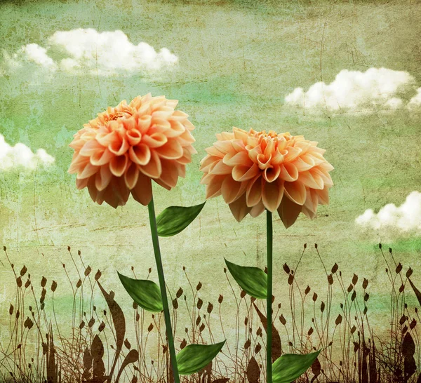 Vintage dahlia bloemen samenstelling — Stockfoto