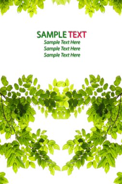 Green leaf love heart frame isolated on white background clipart