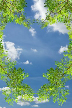 Love heart green leave against blue sky clipart