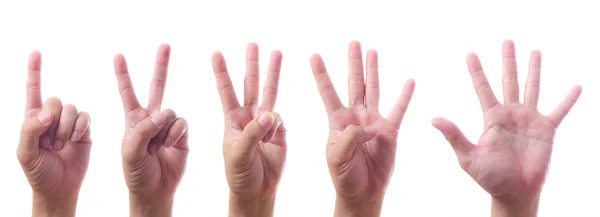 Handen tellen één tot vijf — Stockfoto