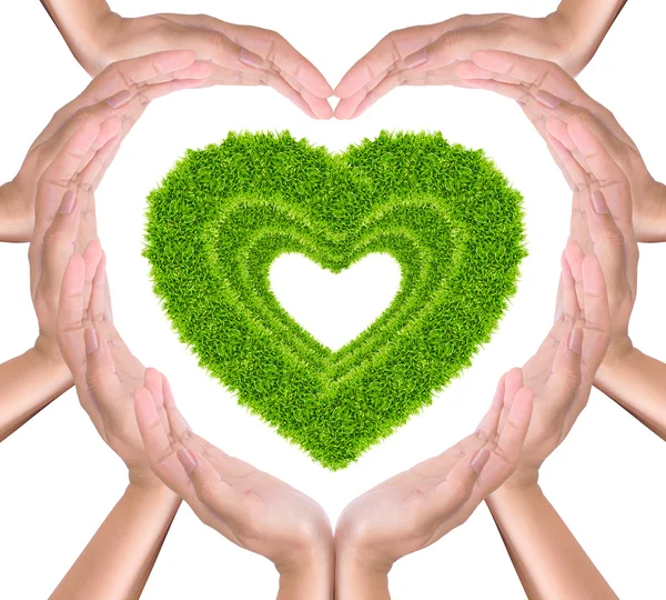 Зеленое травяное сердце в руках — стоковое фото