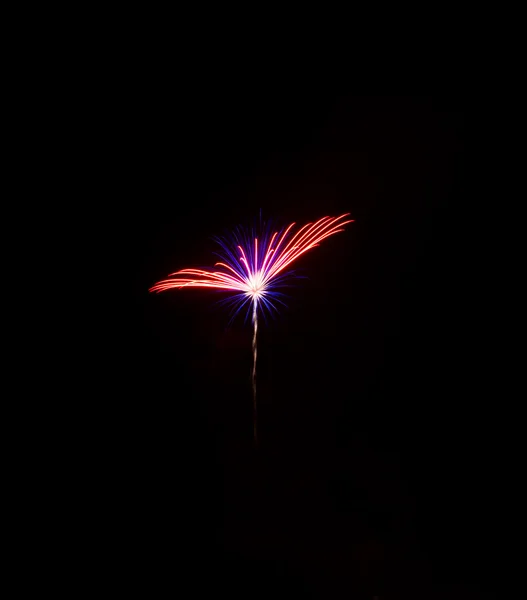 Vuurwerk in de nachtelijke hemel — Stockfoto