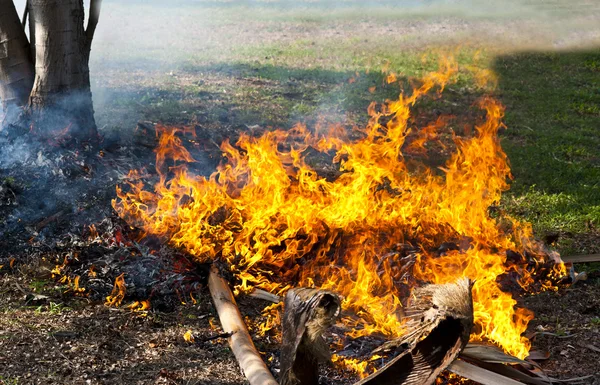 stock image Fire on grass