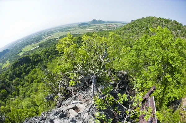 stock image Curve of earth on the mountain