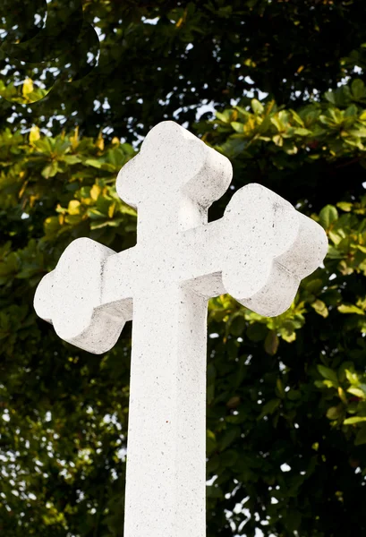 White modern cross isolated on tree background — Stock Photo, Image