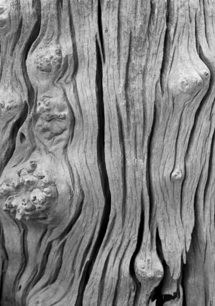 stock image Black and White of wood texture