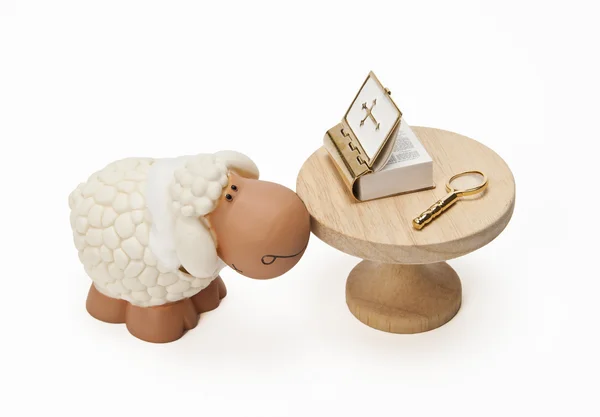Sheep looks bible on table — Stock Photo, Image