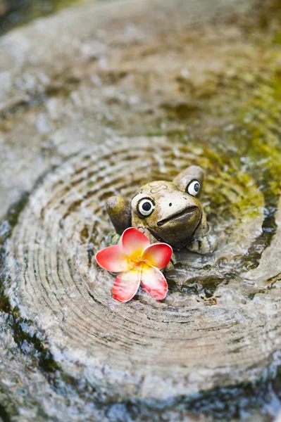 Keramická žába a krásná květina — Stock fotografie