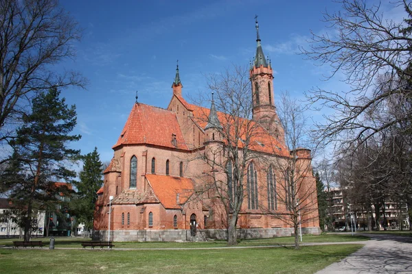 Druskininkai, Litvanya. kent merkezindeki Katolik Katedrali. — Stok fotoğraf