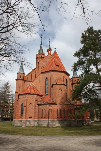 Litouwen, druskininkai. katholieke kathedraal in het centrum van de stad. — Stockfoto