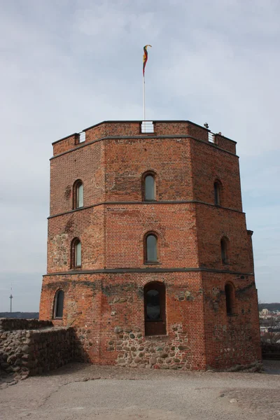 Башня Гедиминеза в Вильнюсе . — стоковое фото