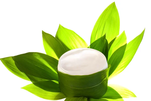 Herbal face cream Royalty Free Stock Images