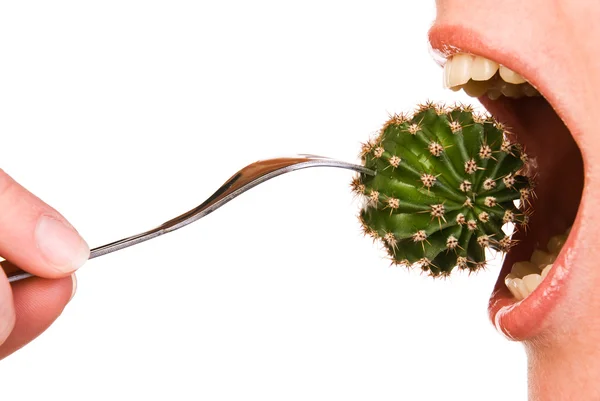 Einen Kaktus essen — Stockfoto